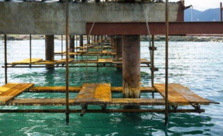 Pilperca-Muelle terminal de carga Borburata-3