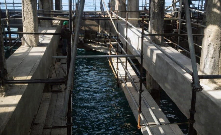 Pilperca-Muelles-Cardon-3