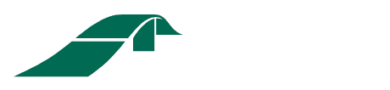 DS Brown Logo